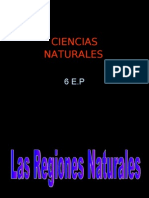 Ciencias Naturales 6