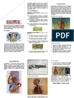 Anatomia y Fisiologia