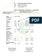 RESULTADOS