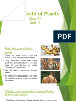 The World of Plants: Class-5 Unit - 6