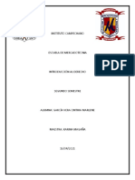 Derecho 16-04 PDF