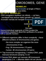 AFF1 - DNA-struktur Dan Fungsi-2009