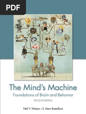 Breedlove SM Watson NV The Minds Machine Foundation of Brain | PDF | Visual  System | Neurotransmitter