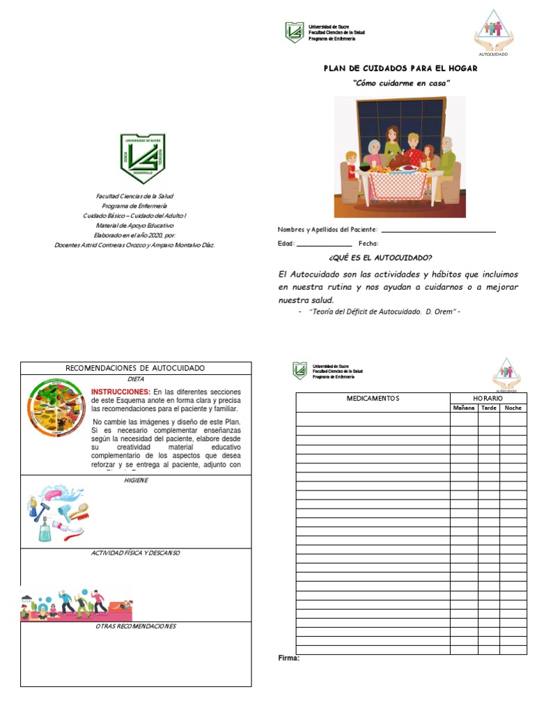 Plan de Cuidados para El Hogar | PDF | Enfermería | Ciencias de la Salud