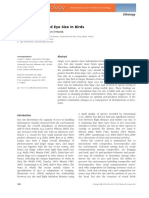 Flight Distance and Eye Size in Birds: Ethology