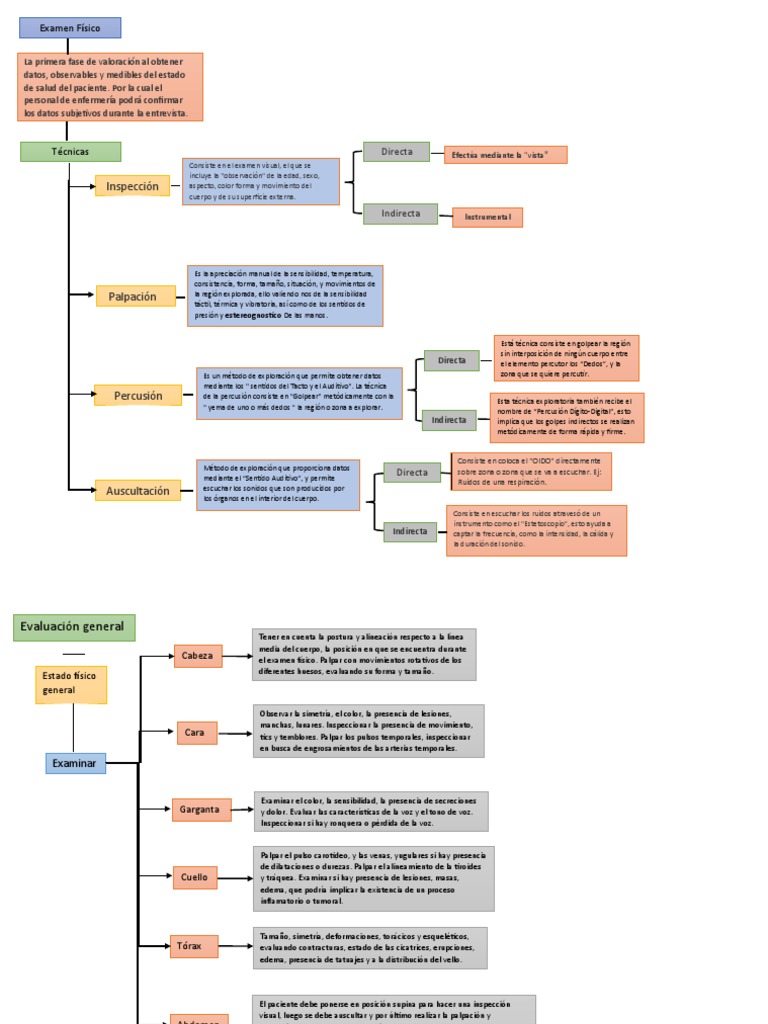 Mapa Conceptual de Exploración Física | PDF | Examen físico | Medicina ...
