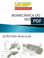 Biomecanica Musculo Novo