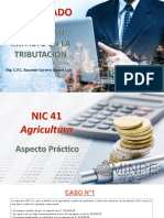 Sesión 18_Presentación_NIC 41 Agricultura_Aspecto Practico