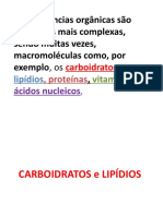 Substâncias Orgânicas Carboidratos e Lipídios