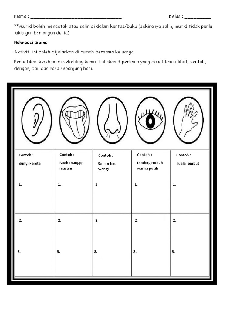 Rekreasi Sains Deria Manusia Pdf