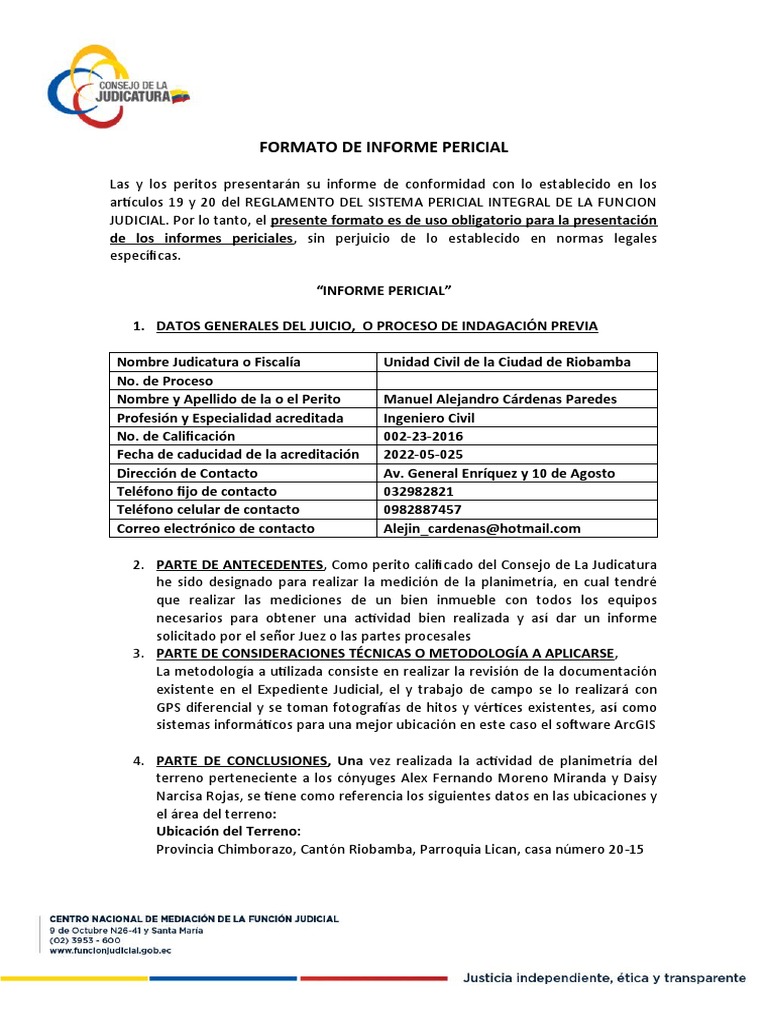 Informe Perito | PDF | Experto