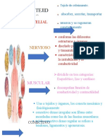 Unidad 2 Mapas Conceptuales