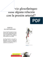 Nervio Glosofaringeo