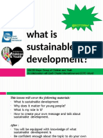 What is sustainable development