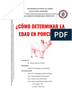 ¿Cómo Determinar La Edad en Porcinos