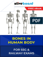 Bones in Human Body====1611154764874=OB