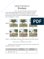 Kegiatan Pembelajaran 1 Evolusi