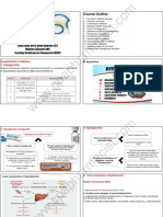 Diabetes Educator 7 Sally Sayed 4in1