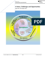 Borophene: Current Status, Challenges and Opportunities: Chuang Hou, Guoan Tai, Zenghui Wu, and Jinqian Hao