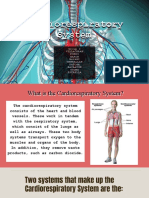 Cardiorespiratory System