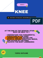 Session 2 Knee