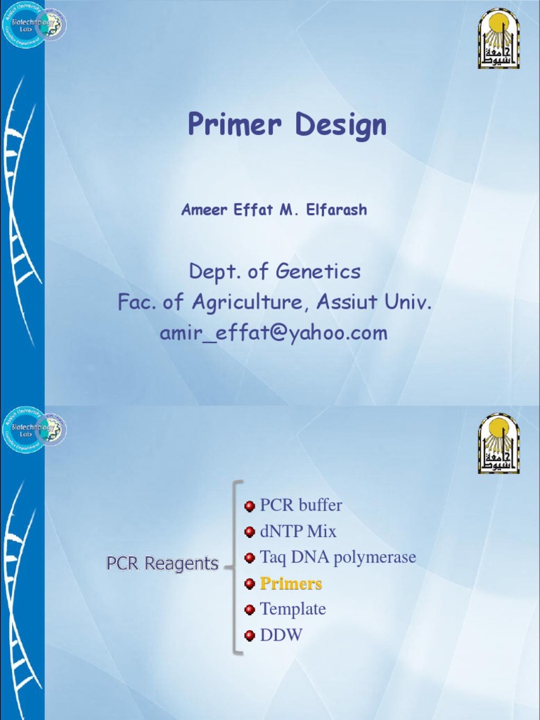 Primer Design PDF Primer (Molecular Biology) Polymerase Chain