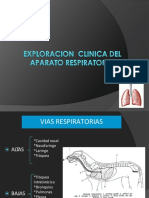 exploracionclinicadelaparatorespiratorio-120830153149-phpapp02