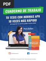 TESIDE - Cuaderno de Trabajo - Webinar APA