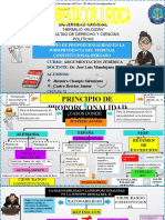 Diapositivas Del Principio de Proporcionalidad en La Jurisprudencia Del Tribunal Constitucional Peruano