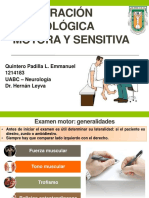 Exploración Neurológica Motora Y Sensitiva: Quintero Padilla L. Emmanuel 1214183 Uabc - Neurología Dr. Hernán Leyva