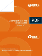 Clase 10 - Bioenergetica 2021