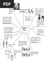 Método RULA: Evaluación Ergonómica Rápida | PDF | Seguridad y salud ...