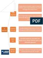 Mapa Mental DX Parasitologico