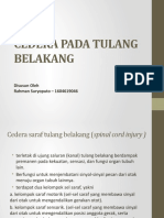 Cedera Pada Tulang Belakang