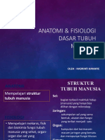 Anatomi & Fisiologi Dasar Tubuh Manusia