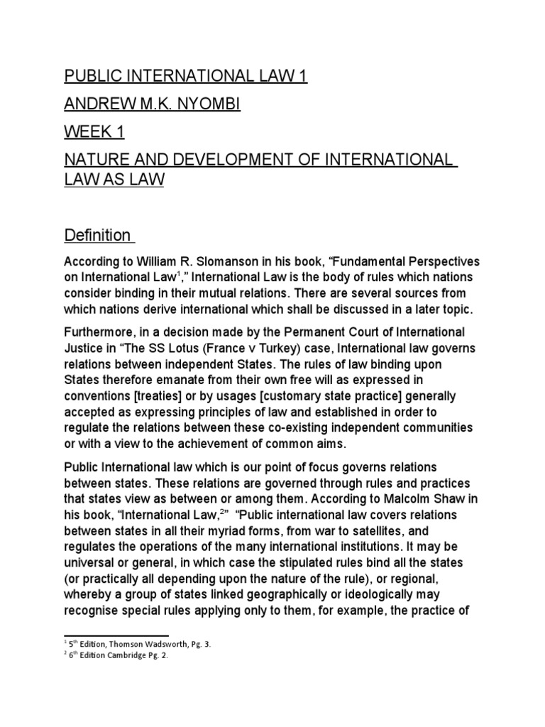 Introduction to Public International Law | PDF | International Law ...