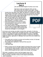 Dental Anatomy - Lecture 6 pt1+pt2