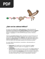 Cadenas Troficas y Contaminacion