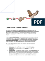 Cadenas Troficas y Contaminacion