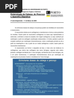 desgravada_embrio_cabeca_pescoco_sistdig