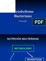 metabolismo-bacteriano