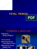 9 - Human Fetal Period