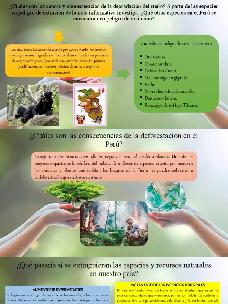 Causas y Consecuencias de la Degradación del Suelo | PDF | Agricultura ...