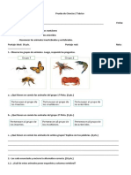 Prueba de Ciencias 2° Básico Agosto