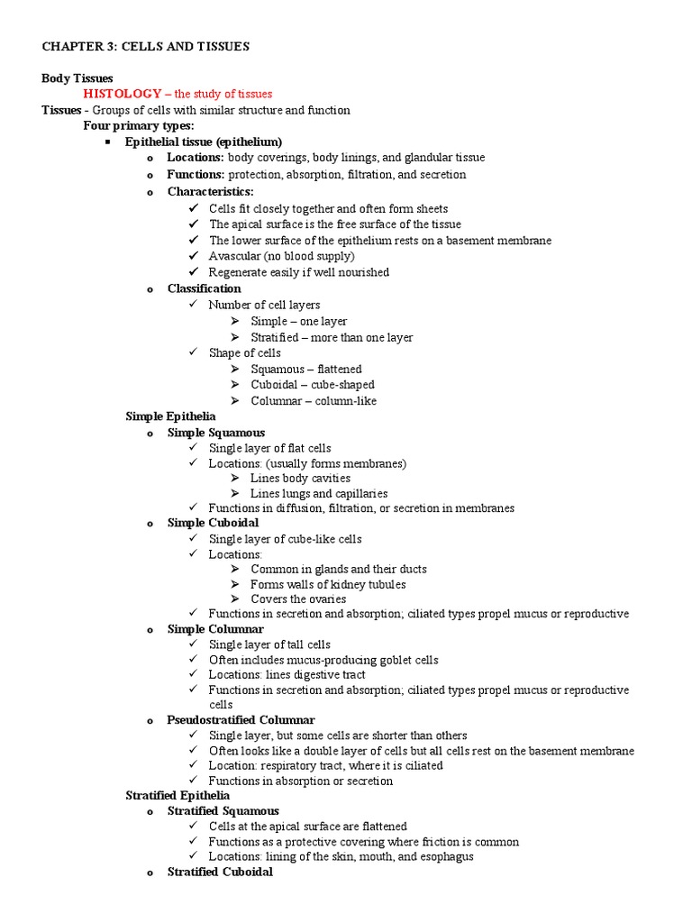 Chapter 3: Cells and Tissues Overview | PDF | Epithelium | Tissue (Biology)