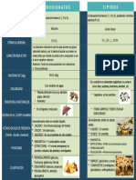 Cuadro Comparativo