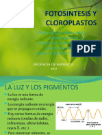 Fotosíntesis y pigmentos clorofílicos