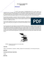 Microscopía: Práctica de laboratorio