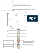 Perisian Macromedia Flash MX