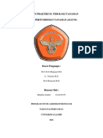 Laporan Praktikum 1 Fisiologi Tumbuhan - Bahditra Zanifer (D1A019176)